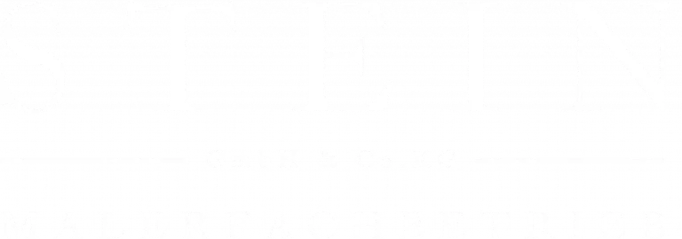 Stein Malerfachbetrieb – professionelles Logo für einen Malerfachbetrieb, spezialisiert auf hochwertige Farb- und Designlösungen.
